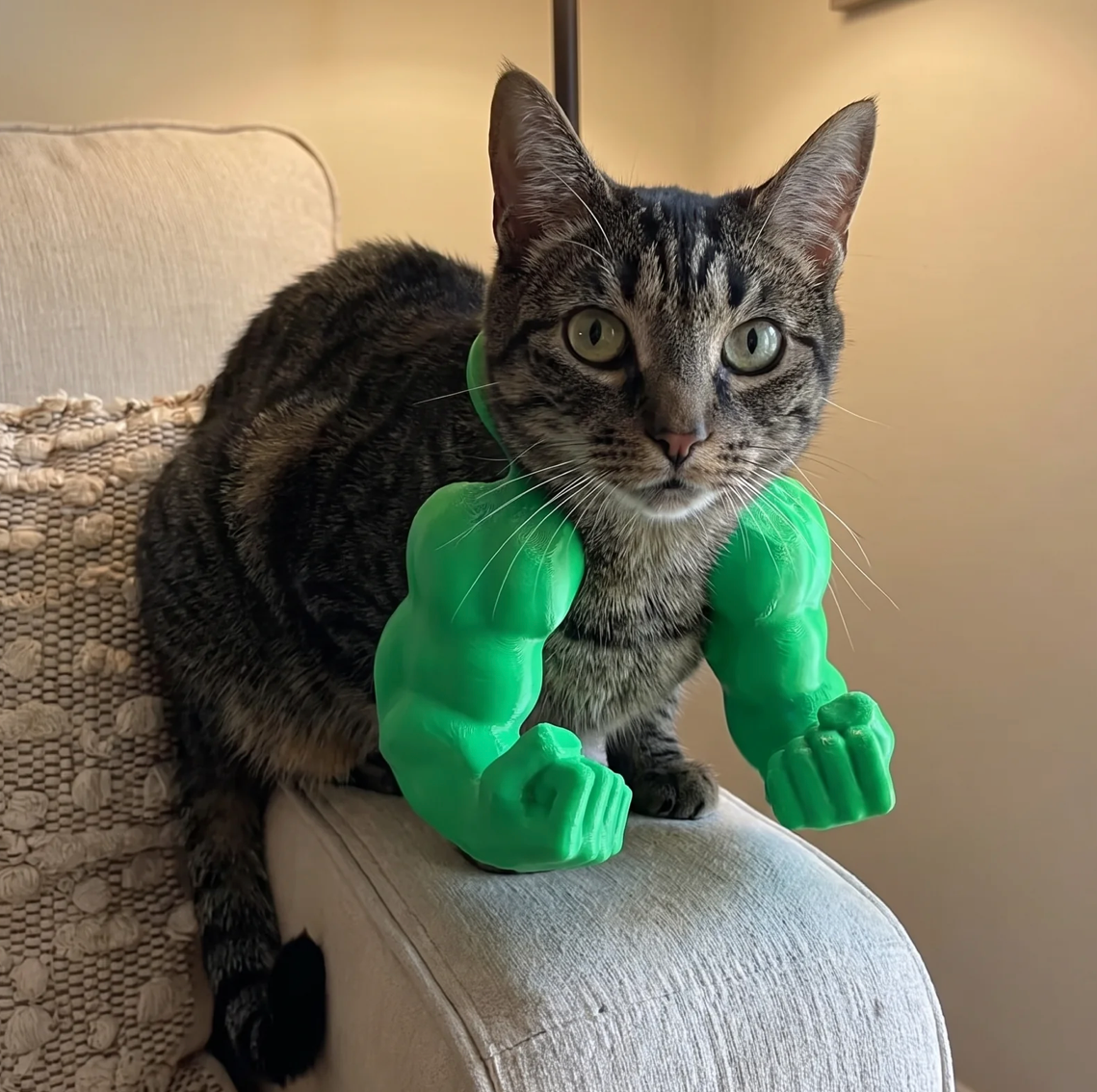Cat Muscle Arms Costume
